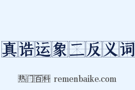 真诰运象二反义词是什么意思的图片